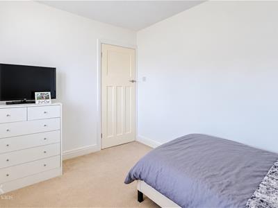 Picture 15